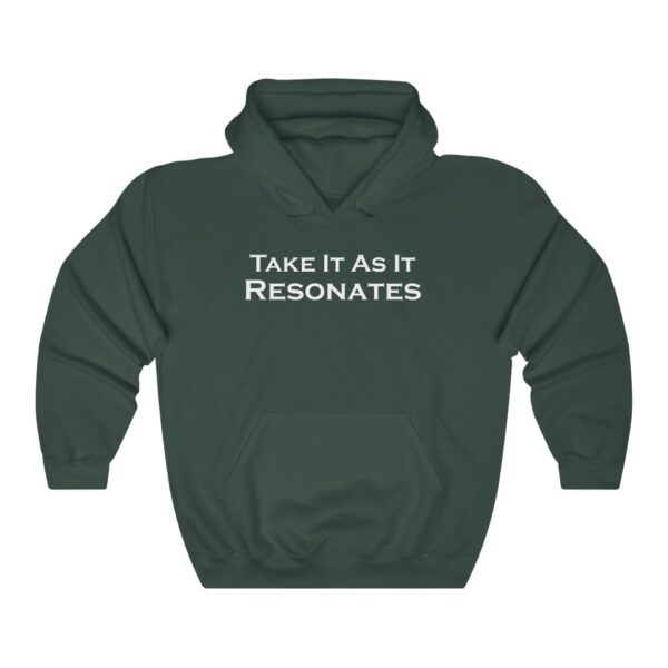 Take It As It Resonates - Unisex Heavy Blend™ Hooded Sweatshirt by Unknown Truth Tarot - Image 8