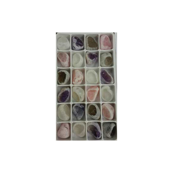 Flat of Mixed Windowed (24/Flat)