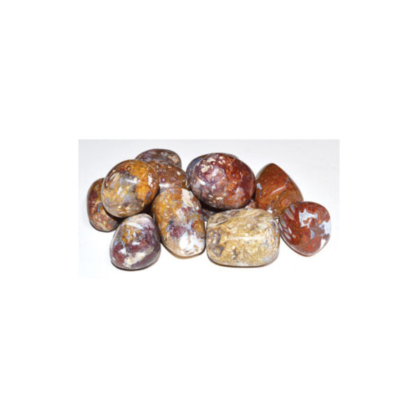 1 lb Plum Jasper tumbled stones