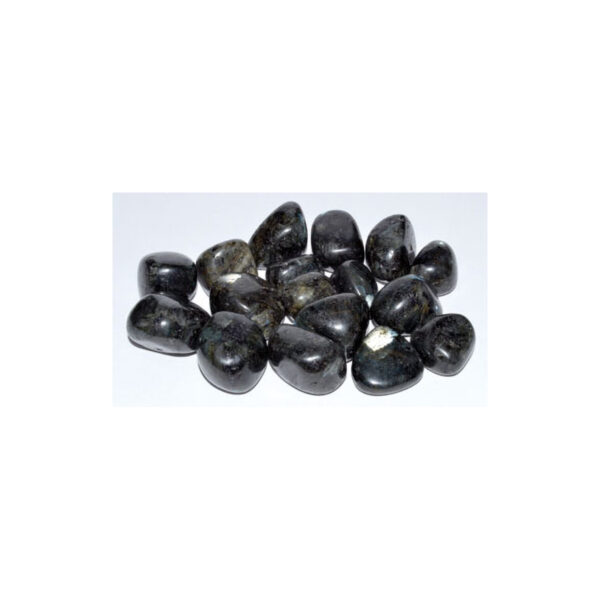 1 lb Larvikite tumbled stones