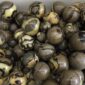 Natural-septarian-sphere-septarium-Natural-Dragon-Stone-Septarium-Fossil-Crystal-Sphere-Ball-Healing-Free-shipping-1pc-1