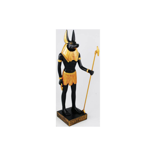 Anubis 12"