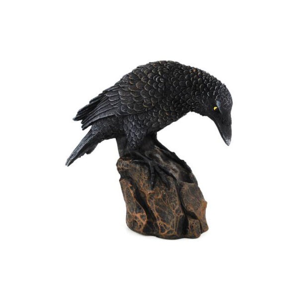 Downward Looking Raven 5 1/2"