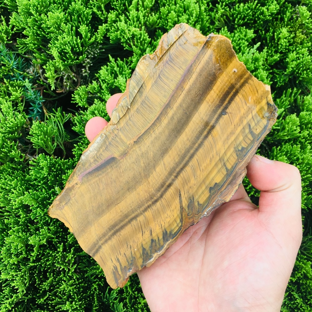 polished tigers eye raw plate