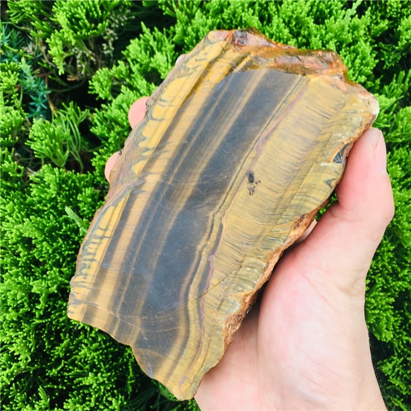 polished tigers eye raw plate free shape