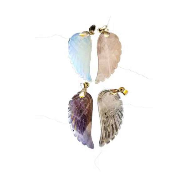 Angel Wing asst (pack of 4)