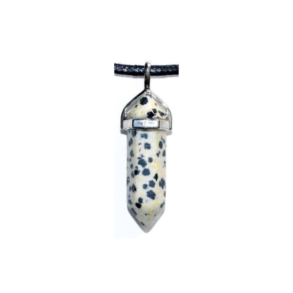 Joy (dalmation) double terminated