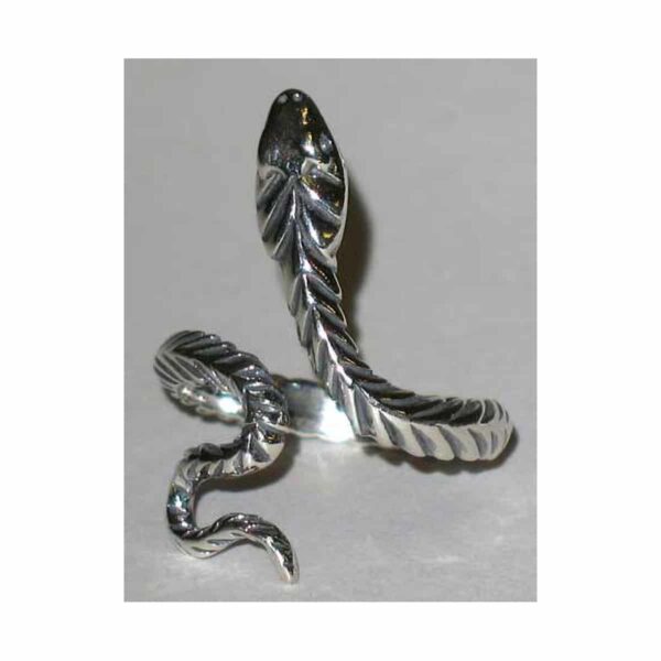 Adjustable Snake ring