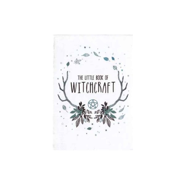 Little Book of Witchcraft (hc)