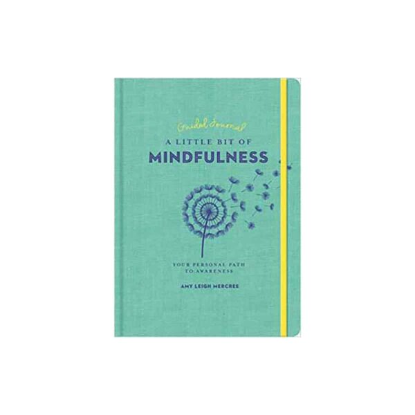 Little Bit of Mindfulness (hc) by Amy Leigh Mercree