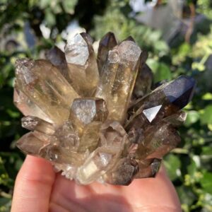 Smoky Quartz crystal point cluster