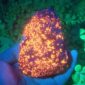 Natural-Crystals-Quartz-Flame-Yooperlite-Ore-Stones-Energy-Reiki-Specimen-Aquarium-Home-Room-Decoration-Accessories-Gemstone-6