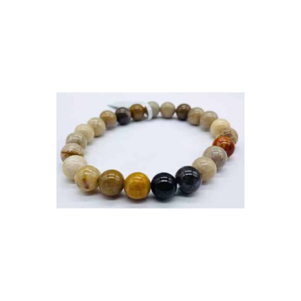 8mm Agate, Fossilized Coral bracelet
