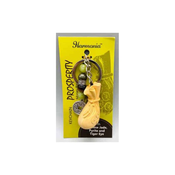Money Bag keychain