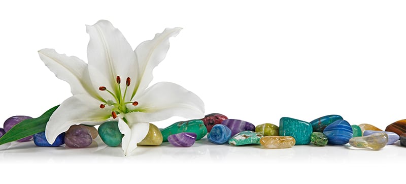 A flower along with some crystals used for emotional healing