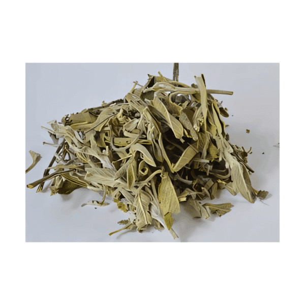 1 Lb Sage Leaf cut (Salvia officinalis)