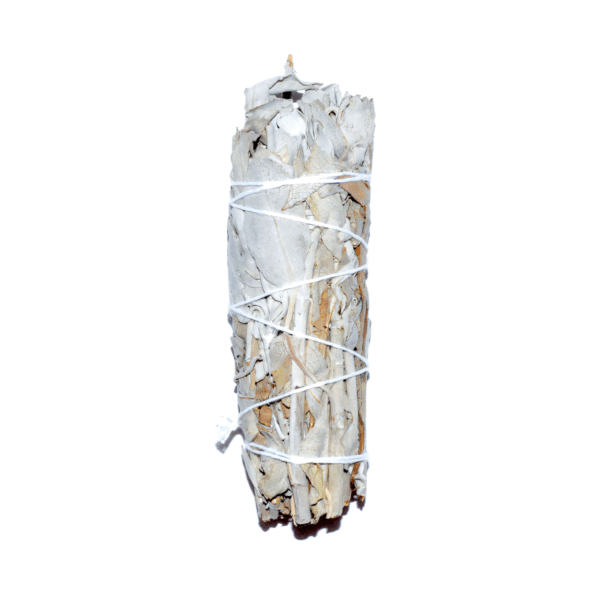 California White Sage smudge stick 3"