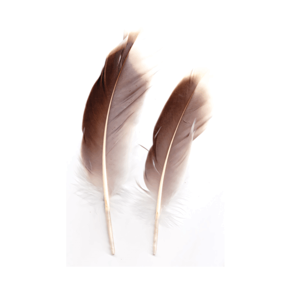 Natural Gray Goose feather