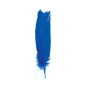 (set of 10) Blue feather 12"