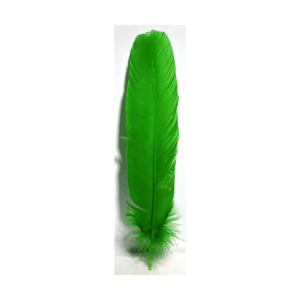 (set of 10) Green feather 12"