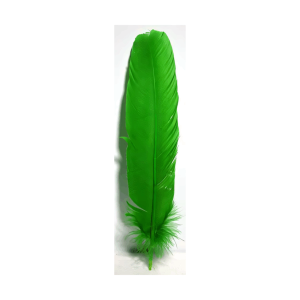 (set of 10) Green feather 12"