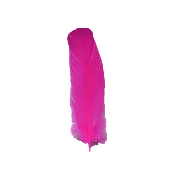 (set of 10) Pink feather 12" (set of 10) Pink feather 12"