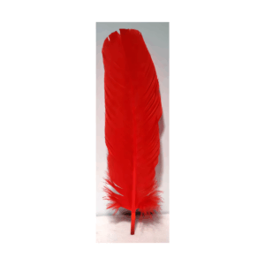 (set of 10) Red feather 12"