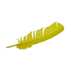 (set of 10) Yellow feather 12"